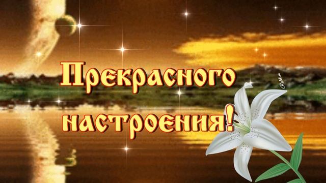 ПРИЯТНОГО ВЕЧЕРА! СПОКОЙНОЙ НОЧИ! КРАСИВОЕ ПОЖЕЛАНИЕ!!! ⭐? смотреть онлайн