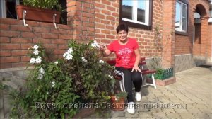Группы обрезки клематисов Теперь вы сможете определить это без труда