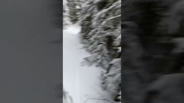 В зимнем лесу 1 января на снегоходе. смотреть онлайн