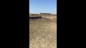 Экскурсия по грязевому вулкану "Гефест". Темрюк.