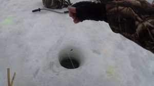 Зимняя рыбалка. Ловля форели в Бисерово.