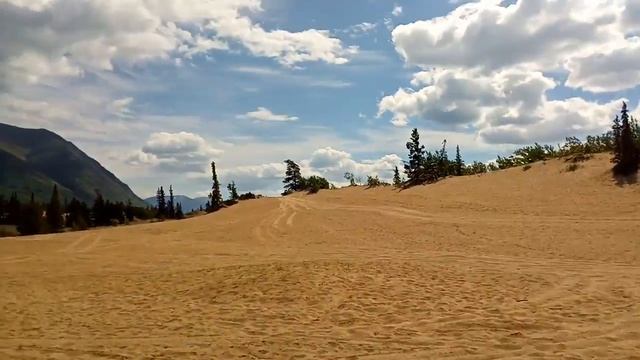 Юкон, Канада, пустыня Каркросс (Carcross Desert). Самая маленькая пустыня в мире.