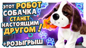 Робот собачка ! Супер игрушка с AliExpress! Обзор и розыгрыш! #робот #собачка #игрушка #алиэкспресс