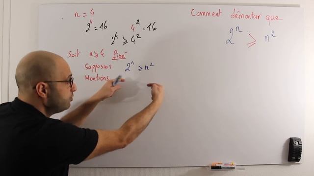 COMMENT MONTRER QUE 2ⁿ ≥ n² ? смотреть онлайн
