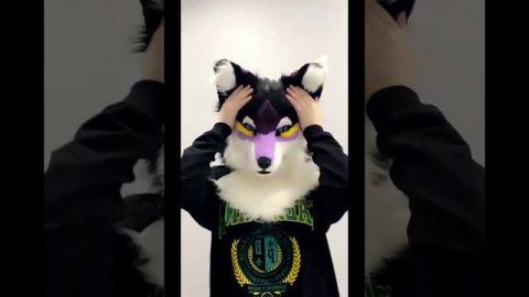 подборка видео|фурри из лайка|1 часть