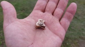 КАКОЕ МОЁ МАЛЕНЬКОЕ ХОЗЯЙСТВО