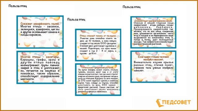 Лэпбук "Птицы" смотреть онлайн