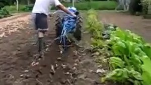 Картофелекопалка для мотоблока Нева.