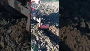 Вспашка мотоблоком салют (агат) плугом 2020 весна!