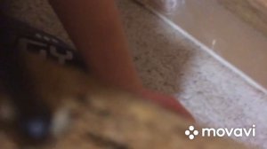 Сколько раз можно вкрутить и выкрутить саморез в ДСП чтобы расшатать отверстия полностью Эксперимен