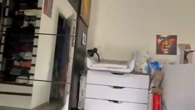 МОИ БУДНИ/ГОТОВИМ ЛИСИЧКИ/ВАЙЛБЕРИС/НОВЫЙ СТАЙЛЕР ОТ Philips смотреть онлайн