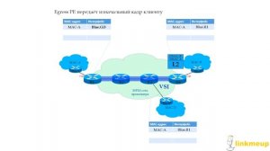 СДСМ 12. MPLS L2VPN. VPLS Data Plane