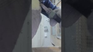 Обрезка Клюва Попугая