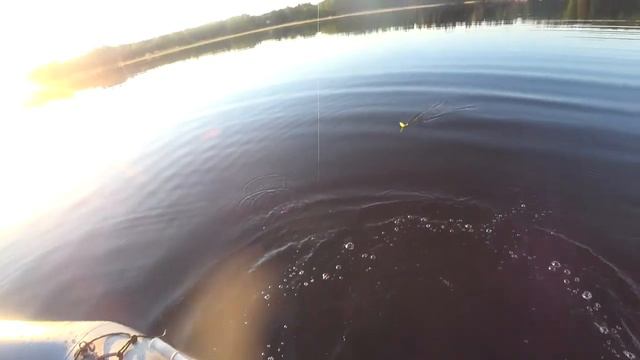 В погони за хищником 2018 смотреть онлайн