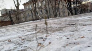 Toyota Avensis 2002 2.0 - Капсула времени