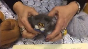 ВЯЖЕМ КОТИКА НА СПИЦАХ ✨✨✨ АМИГУРУМИ -- БЫСТРОЕ ВЯЗАНИЕ!