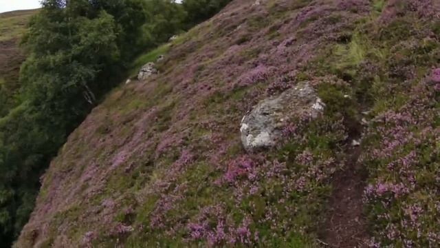 Hiking in The Cairngorms National Park | Scotland смотреть онлайн