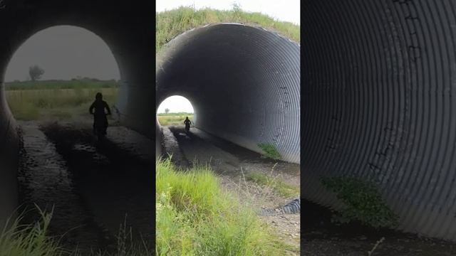 Tunnel KX250F wheelie