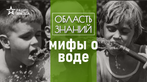 Как правильно запивать еду и при этом не отравиться водой. Лекции врача Алексея Водовозова