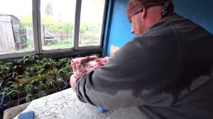 По чём продали мясо и сколько заработали. Какой вес в 6 мес. Забой свиньи.