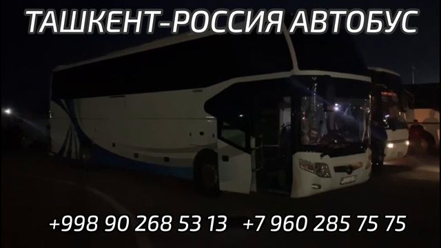 Ташкент Москва автобус 2023 #ташкент #москва #автобус Узбекистан Россия автобус