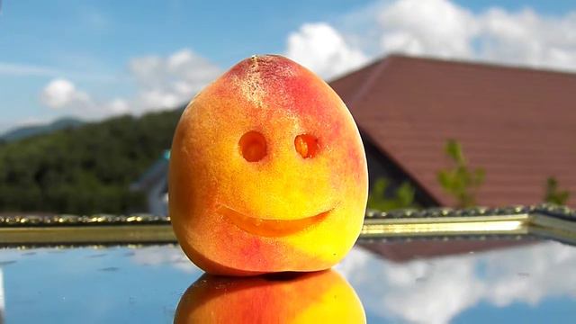 С днём рожденья Кира от Персича