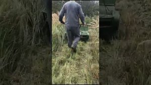 Отказался Выполнять Заказ. Покос Бурьяна Мульчером ВЕЗДЕКОС ТС-1000.