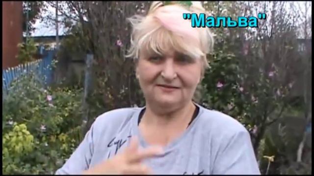 Н Удивител овощи и цветы=на нашем участке смотреть онлайн