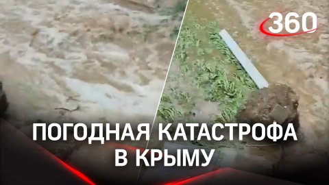 Погодная катастрофа в Крыму: ветер сносит деревья, подтопления по всему полуострову