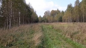 Тест драйв мопеда Альфа 11 с карбюратором PZ22