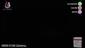 Салют Шмель