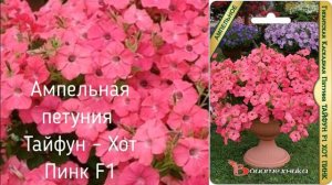 Самые красивые новые сорта петунии 2020/2021 года. ТОП 7 лучших петуний 2020/2021.