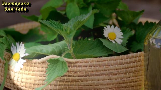 Изменения будут мгновенно, намажьте монету подсолнечным маслом смотреть онлайн