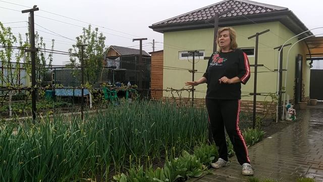 Хотите много чеснока, крупного, ароматного?!