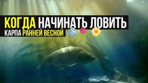 КОГДА начинать ЛОВИТЬ КАРПА ранней ВЕСНОЙ ❓ СОВЕТЫ по ЛОВЛЕ в ХОЛОДНОЙ ВОДЕ!