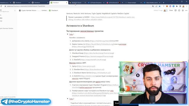 SHARDEUM (SHM) - AIRDROP ЗА УЧАСТИЕ В TESTNET | ОБЗОР И ПРОГНОЗ КРИПТОПРОЕКТА