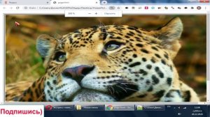 Как расположить картинку в html слева, справа и по центру