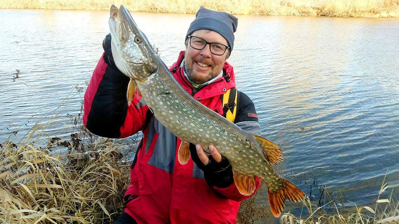 Погода на мороз - ЩУКА клюет! На малой реке со спиннингом смотреть онлайн