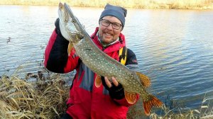 Погода на мороз - ЩУКА клюет! На малой реке со спиннингом