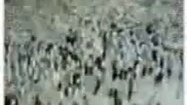 Чудеса Аллаха смотреть онлайн