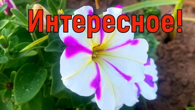 5 июля Евсеев День. Что нельзя делать 5 июля. Народные традиции и приметы и суеверия
