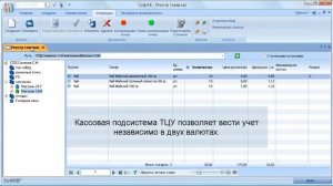 Ввод кассовых остатков