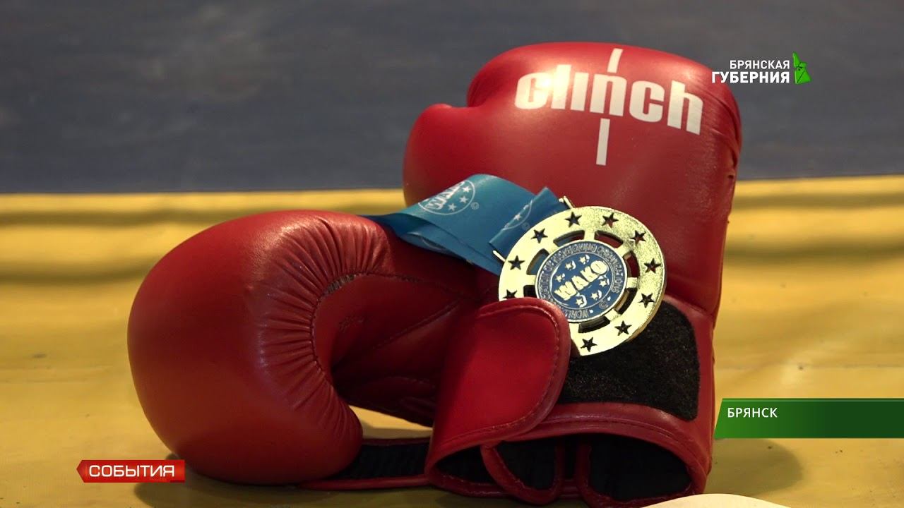 Брянская спортсменка выиграла серебро Первенства мира по кикбоксингу 27 09 18 смотреть онлайн
