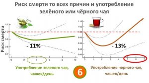 Чай чёрный, белый или зеленый – какой выбрать и сколько пить, чтобы не нанести вреда здоровью