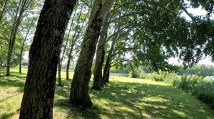 Романтический саксофон    Встреча Saxoslow