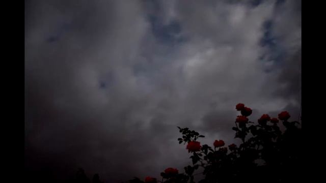 полчаса снимал (Nikon D5100) смотреть онлайн