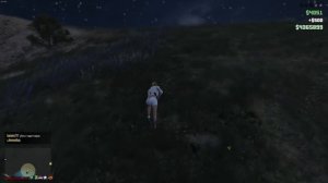 GTA 5 ONLINE Как передать деньги другу | Не Глитч | Don`t Glitch