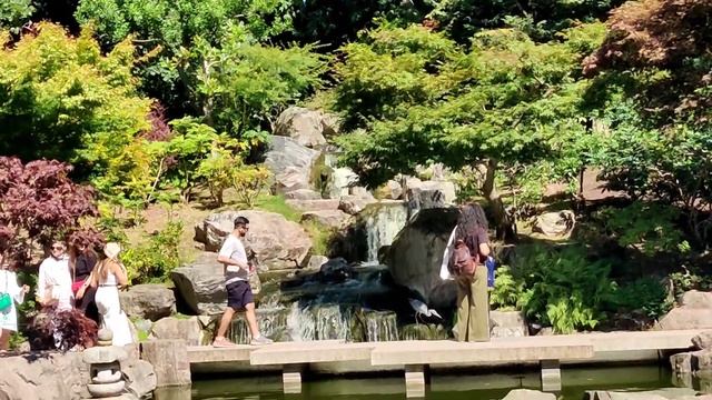 Holland Park, London. The wonderful park on Great Britain. смотреть онлайн