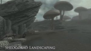 The Elder Scrolls Skywind - Мнение
