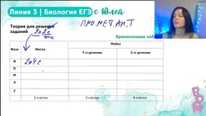 Разбор заданий линии 3 | Биология ЕГЭ 2024